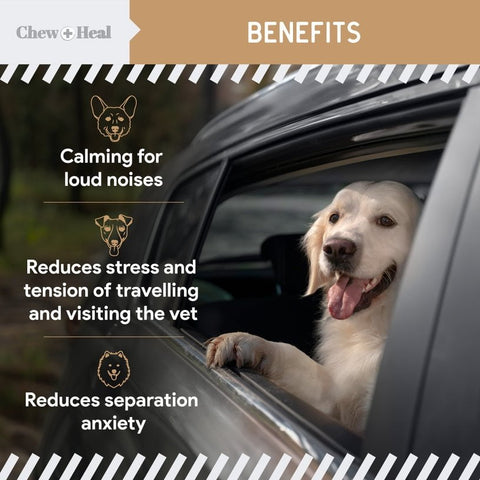 Image of Chew + Heal Allergy Anxiety + Stress Dog Peanut Butter Flavored - 60 Count