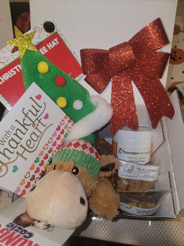 Image of My CalmPet Dog Toy and Treat Box