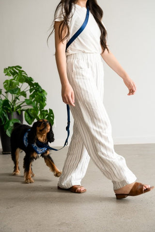 Image of Cavology Hands Free Vinyl Two Piece Multiway Dog Leash Set