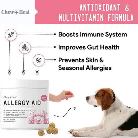 Image of Chew + Heal Allergy Chews with Antioxidants