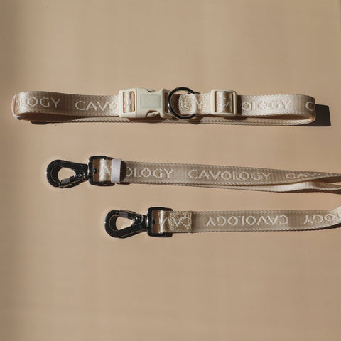 Image of Cavology Hands Free Vinyl Two Piece Multiway Dog Leash Set