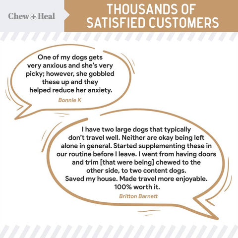 Image of Chew + Heal Allergy Anxiety + Stress Dog Peanut Butter Flavored - 60 Count