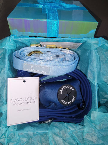 Image of Cavology Hands Free Vinyl Two Piece Multiway Dog Leash Set