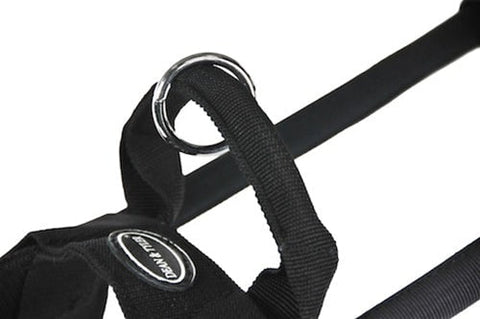 Image of DT Guide Light Dog Nylon Harness For Small to Large Dogs