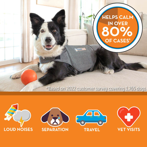 Image of Summer Survival Storm/ Fireworks Stress Relief ThunderShirt® + ThunderEase + ThunderWunders Calming Chews Bundle Set