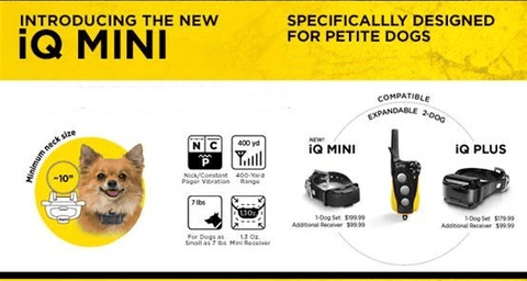 Image of Dogtra iQ Mini
