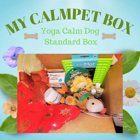 Image of My CalmPet Dog Toy and Treat Box