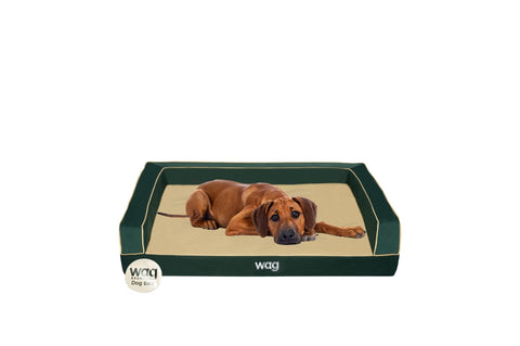 Image of Wag Lifestyle Premium Bolster, Cooling Memory Foam, Orthopedic Foam, And  Charcoal Infused High Density Foam Base Dog Bed