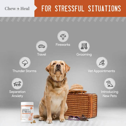 Image of Chew + Heal Calming Anxiety & Stress, Chicken Flavor