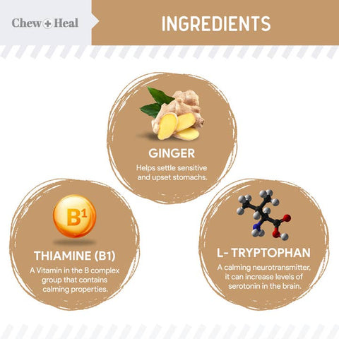 Image of Chew + Heal Allergy Anxiety + Stress Dog Peanut Butter Flavored - 60 Count