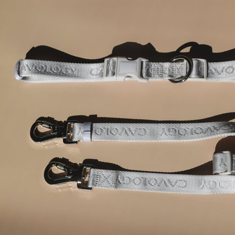 Image of Cavology Hands Free Vinyl Two Piece Multiway Dog Leash Set