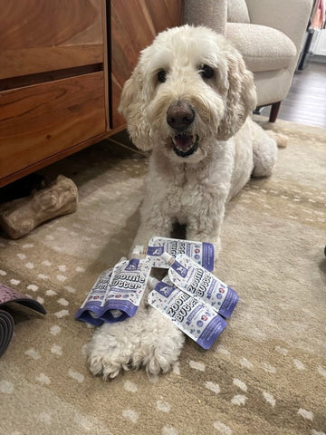 Image of Stress & Anxiety Squeeze Pack