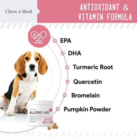 Image of Chew + Heal Allergy Chews with Antioxidants