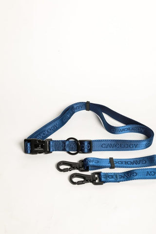 Image of Cavology Hands Free Vinyl Two Piece Multiway Dog Leash Set