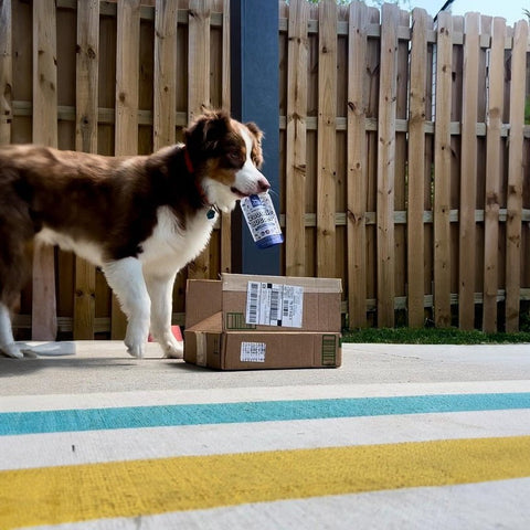 Image of Stress & Anxiety Squeeze Pack