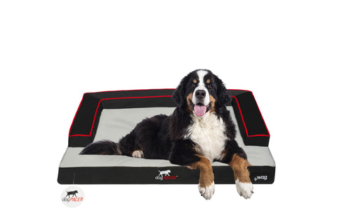 Image of dogPACER XR Extreme Recovery Indoor/Outdoor Premium Bolster Dog Bed, Waterproof, Cooling Memory Foam, Orthopedic Foam, And Charcoal Infused High Density Foam Base Dog Bed