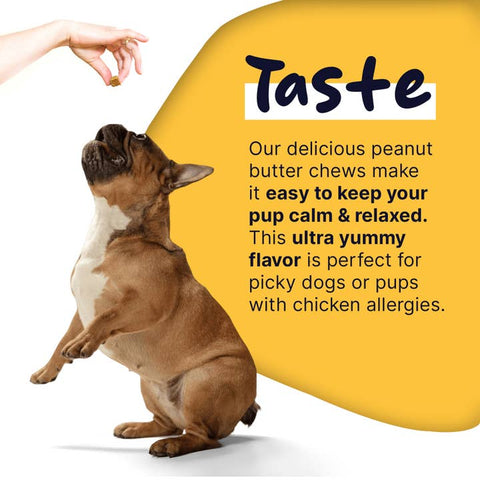 Image of Chew + Heal Healthy Pup Calming Soft Chews, Peanut Butter Bliss