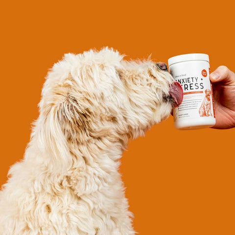 Image of Chew + Heal Calming Anxiety & Stress, Chicken Flavor