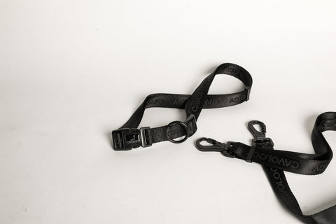 Image of Cavology Hands Free Vinyl Two Piece Multiway Dog Leash Set