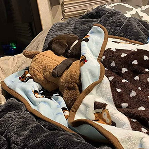 Image of Snuggle Puppy Starter Kit For New Puppy/Dog And Dog Owner