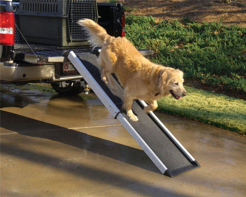 Image of PetSafe® Solvit Ramps
