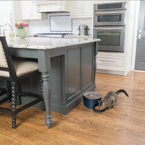 Image of PetSafe Automatic 6 Meal Pet Feeder Cat and Dog Food Dispenser Great for Cats and Small Dogs