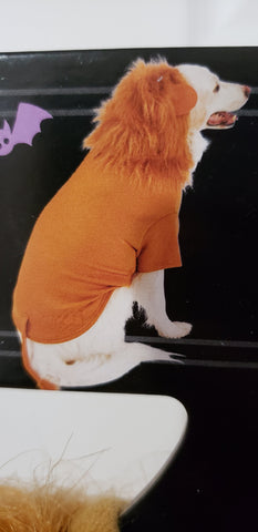 Image of Courageous Lion Hoody Pet Costume