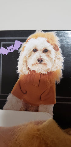 Image of Courageous Lion Hoody Pet Costume
