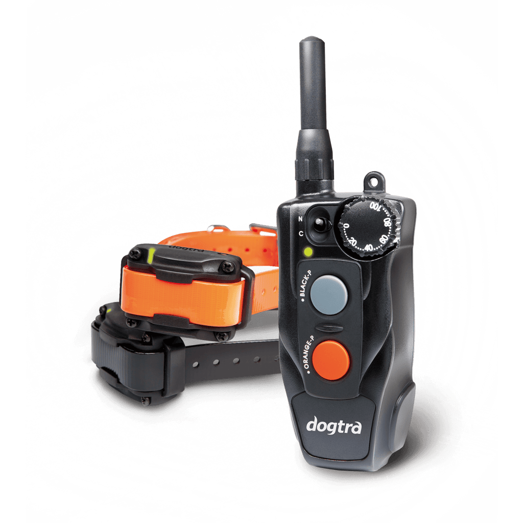 Dogtra 202C Two Dog Remote Dog Training Collar
