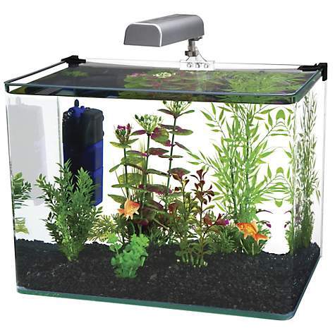 Image of Penn Plax Radius Curved Corner Glass Aquarium Kit- 5 Gallons
