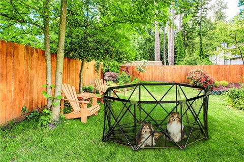 Image of Carlson 8-Panel Portable Pet Pen
