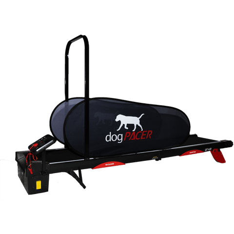 Image of Dogtra dogPACER 4.0- Bluetooth Edition