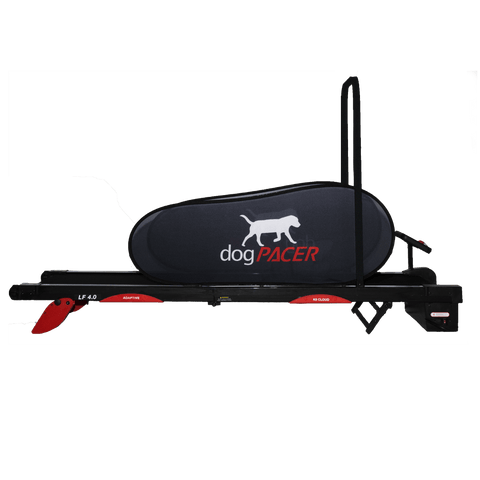 Image of Dogtra dogPACER 4.0- Bluetooth Edition