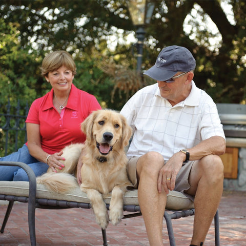 Image of PetSafe In-Ground Deluxe Ultralight Collar PUL-275 + 2 FREE BATTERIES