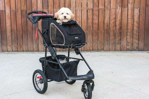 Image of Petique 5-in-1 Pet Stroller (Complete Set with Pet Carrier and Stroller Frame)