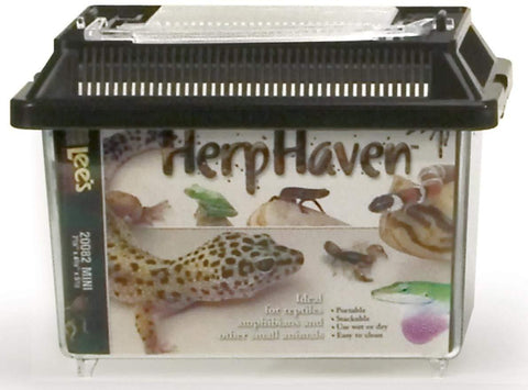 Image of snail, scorpion, Lizard, Gecko, Snake, Frogs , Reptiles, Herp Heaven, Lee's