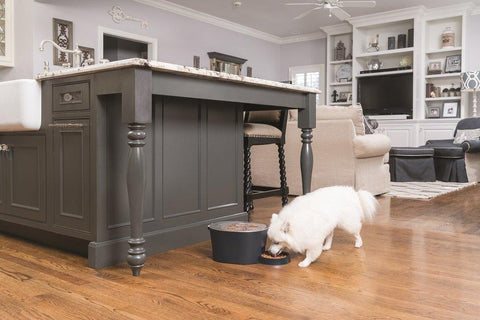 Image of PetSafe Automatic 6 Meal Pet Feeder Cat and Dog Food Dispenser Great for Cats and Small Dogs