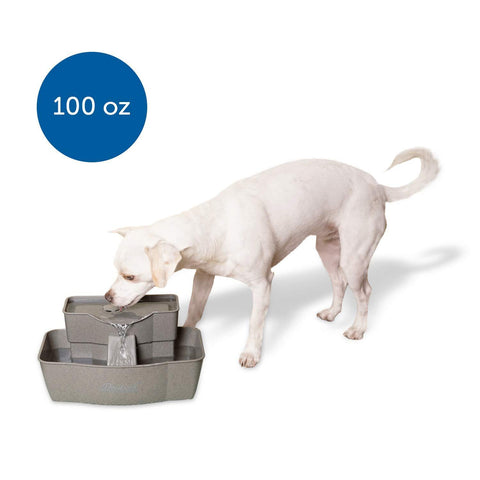 Image of PetSafe Drinkwell Dog and Cat Multi-Tier Water Fountain Automatic Drinking Fountain for Pets 100 oz Water Capacity