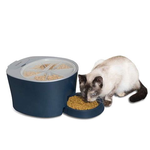 Image of PetSafe Automatic 6 Meal Pet Feeder Cat and Dog Food Dispenser Great for Cats and Small Dogs