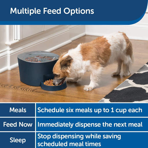 Image of PetSafe Automatic 6 Meal Pet Feeder Cat and Dog Food Dispenser Great for Cats and Small Dogs