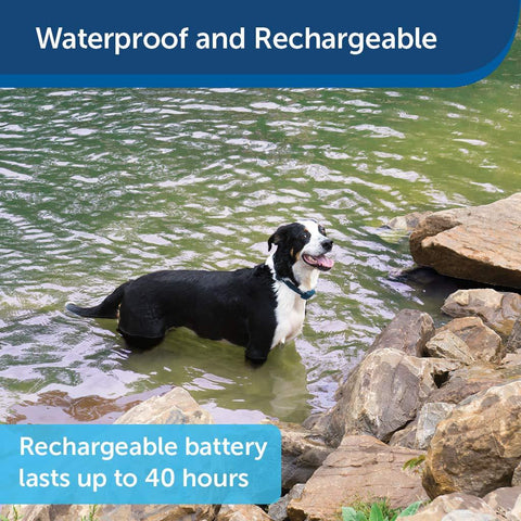 Image of PetSafe Remote Trainer Waterproof Rechargeable Tone Vibration 15 Levels of Static Stimulation Dogs Over 8 lb