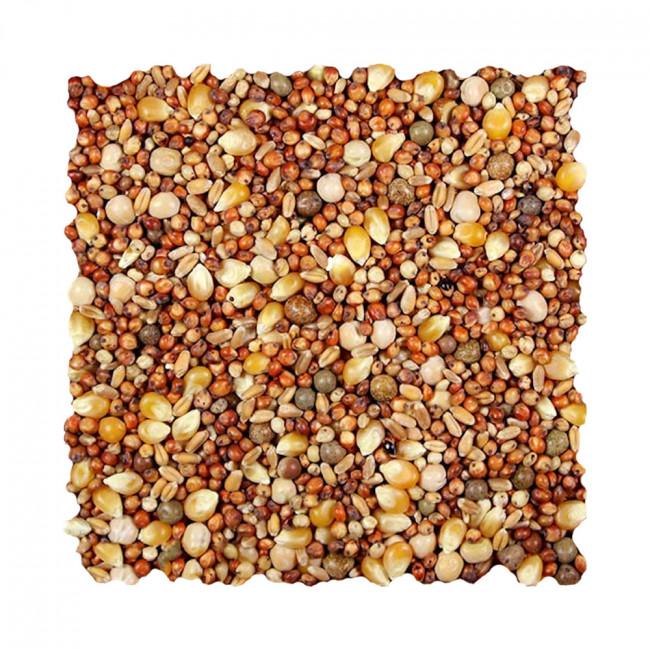 Wingz Avian Products Pigeon Feed 12% Pop Corn, 50 lb.