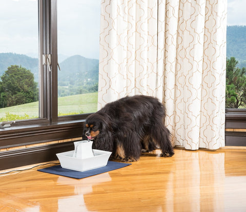 Image of PetSafe Drinkwell Automatic Stoneware Ceramic Pagoda Fountain for Multiple Pets- 70 oz.