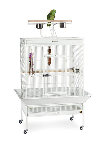 Image of Prevue Pet Select Wrought Iron Play Top Parrot Cage