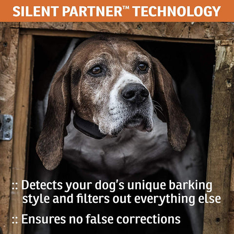 Image of SportDOG Anti Bark Collar SBC-10 Waterproof Bark Control Device