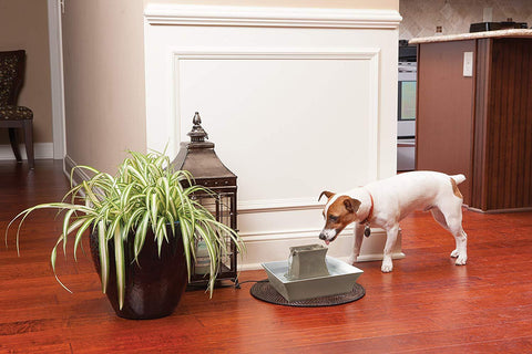 Image of PetSafe Drinkwell Automatic Stoneware Ceramic Pagoda Fountain for Multiple Pets- 70 oz.