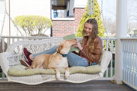 Image of PetSafe Remote Trainer Waterproof Rechargeable Tone Vibration 15 Levels of Static Stimulation Dogs Over 8 lb