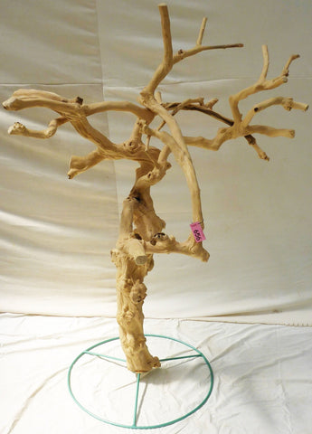 Image of A&E Cages Java Wood Tree Floor Stand
