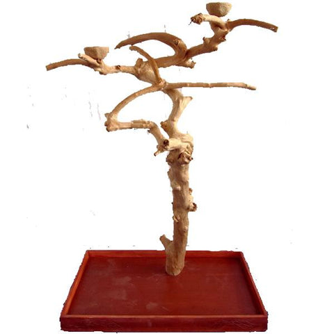 Image of A&E Cages Java Wood Tree Floor Stand