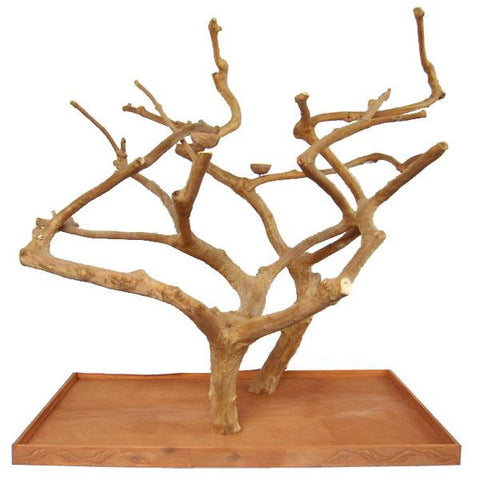 Image of A&E Cages Java Wood Tree Floor Stand